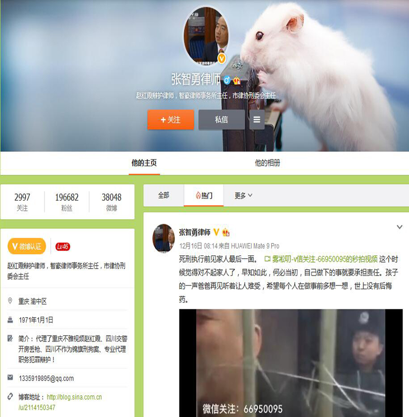 首席律师张智勇，微博粉丝量近20万