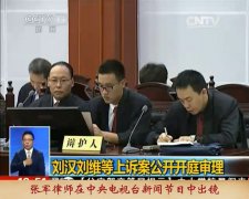 张军律师在中央电视台新闻频道出镜