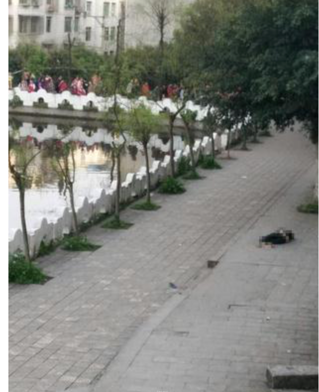 一起泸县太伏中学学生坠楼死亡案,在短短的几日,就引发了舆情汹涌